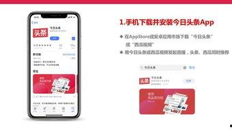 用手机怎么开启头条直播,头条直播带你畅游精彩世界
