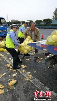 博睿大型吃瓜群众,揭秘娱乐圈幕后风云