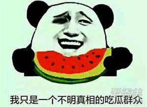 吃瓜表情什么意思,网络热词背后的文化现象