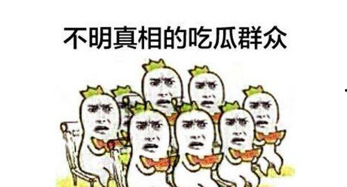 吃瓜群众投诉规范,守护网络环境，共建和谐社区