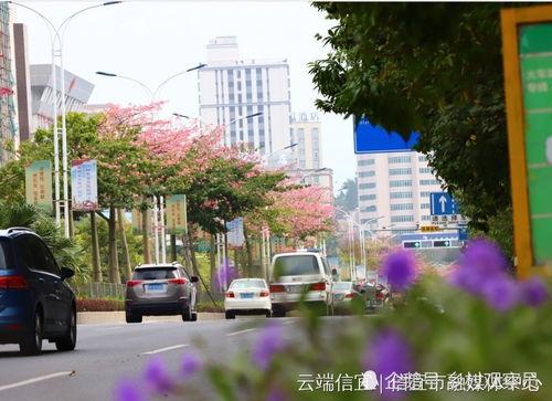 粤西地区网红打卡,探寻隐藏的美丽秘境