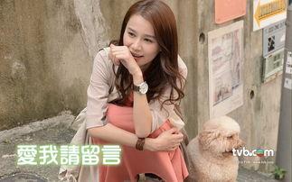 爱我请留言在线观看,浪漫邂逅，情感共鸣的温暖故事
