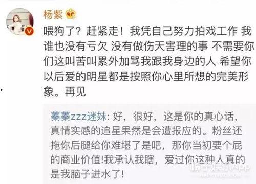 明星下场评论,一场舆论风暴的背后
