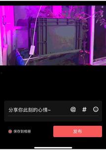 头条上传长时间的视频,时长惊人！揭秘头条热门视频背后的精彩瞬间