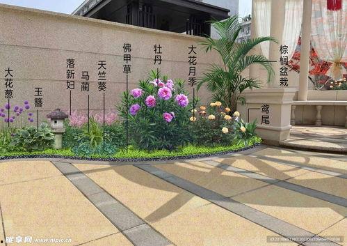 网红庭院花镜,打造时尚花园的秘密法则
