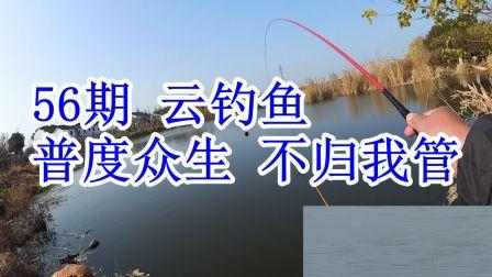 头条钓鱼怎样调漂视频,头条调漂视频技巧全解析