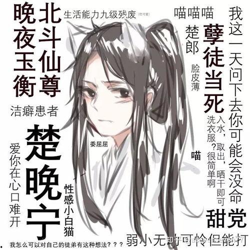 啊哈 楚晚宁头条文章,揭秘啊哈背后的故事与影响力