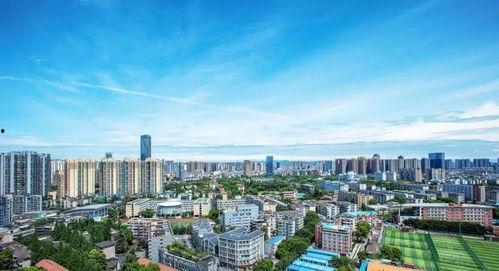 武侯最近发生的新闻头条,最新进展与影响解析