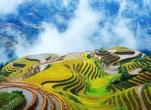 云居山网红梯田瀑布在哪