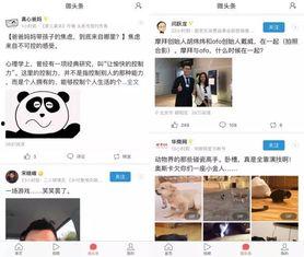 微头条补充功能,个性化推荐，让信息更精准触达