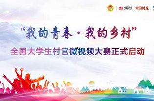 山东学子今日头条视频,聚焦青春风采，展现时代担当