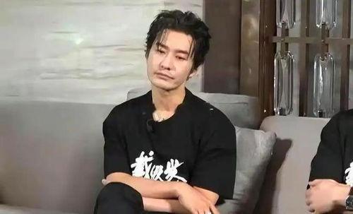 尚亿明星,闪耀娱乐圈的璀璨星辰