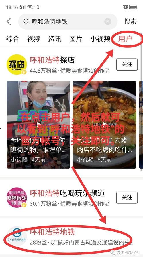 呼和浩特毛寅头条,揭秘毛寅背后的故事与影响