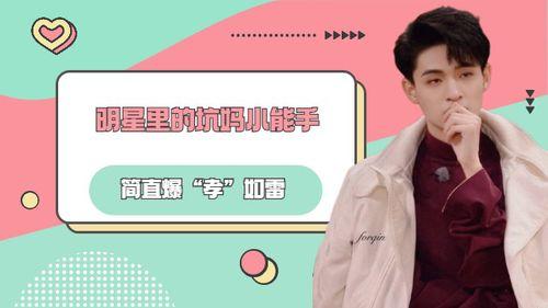 明星小能手都有哪些,多才多艺的璀璨星途