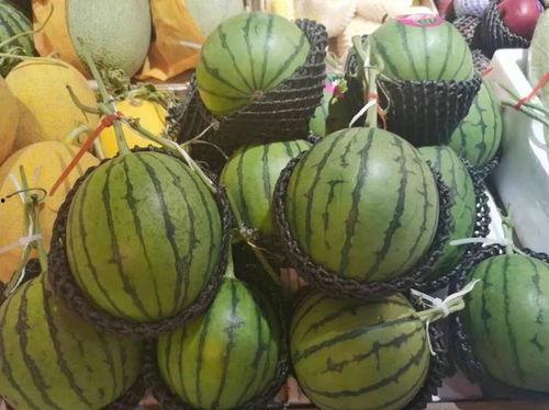 吃瓜小琦,揭秘娱乐圈那些不为人知的幕后故事