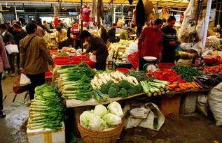 头条小店卖菜挣钱吗吗,揭秘电商新风口，赚钱潜力大揭秘