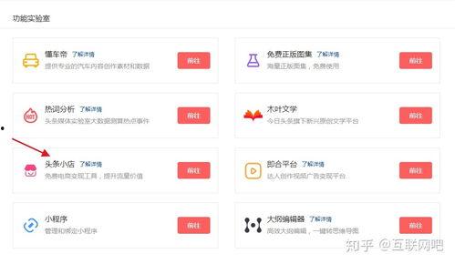 头条怎么卖东西呀赚钱,轻松赚钱的电商变现秘诀