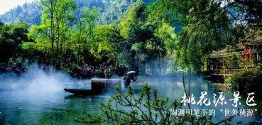 酉阳到网红景点,网红景点打卡攻略之旅