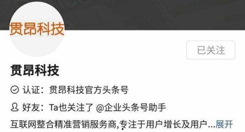 个人头条号申请认证流程,个人头条号认证申请全攻略