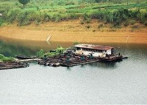 云南红河屏边和平头条