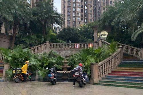 沙坪坝友谊村新闻头条,聚焦社区发展新动态