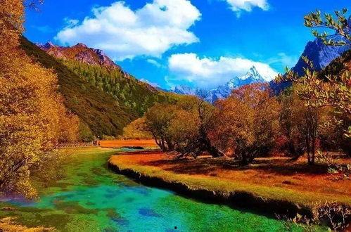 最近网红旅游景点,揭秘最新热门旅游景点的魅力瞬间